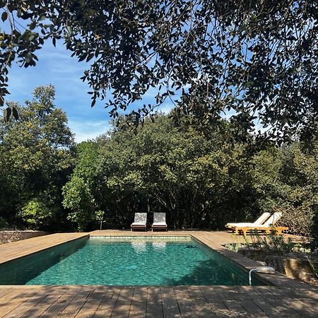 La Canopee Private Ecolodges Nîmes Eksteriør billede