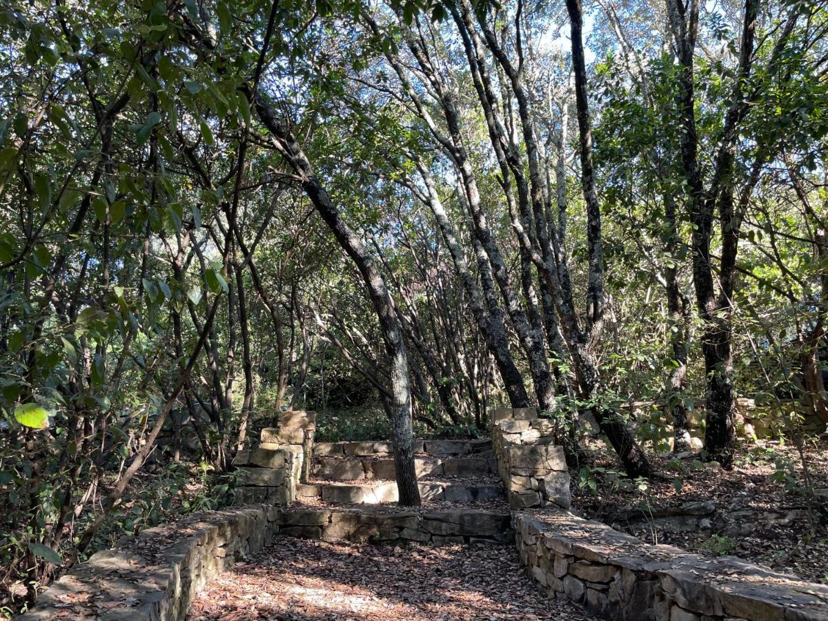 La Canopee Private Ecolodges Nîmes Eksteriør billede