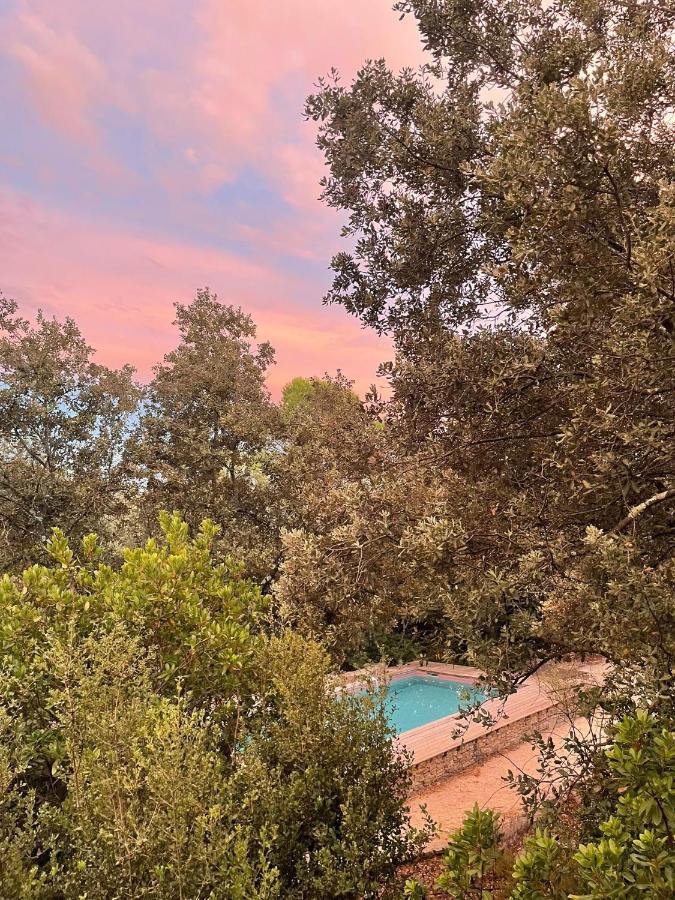 La Canopee Private Ecolodges Nîmes Eksteriør billede