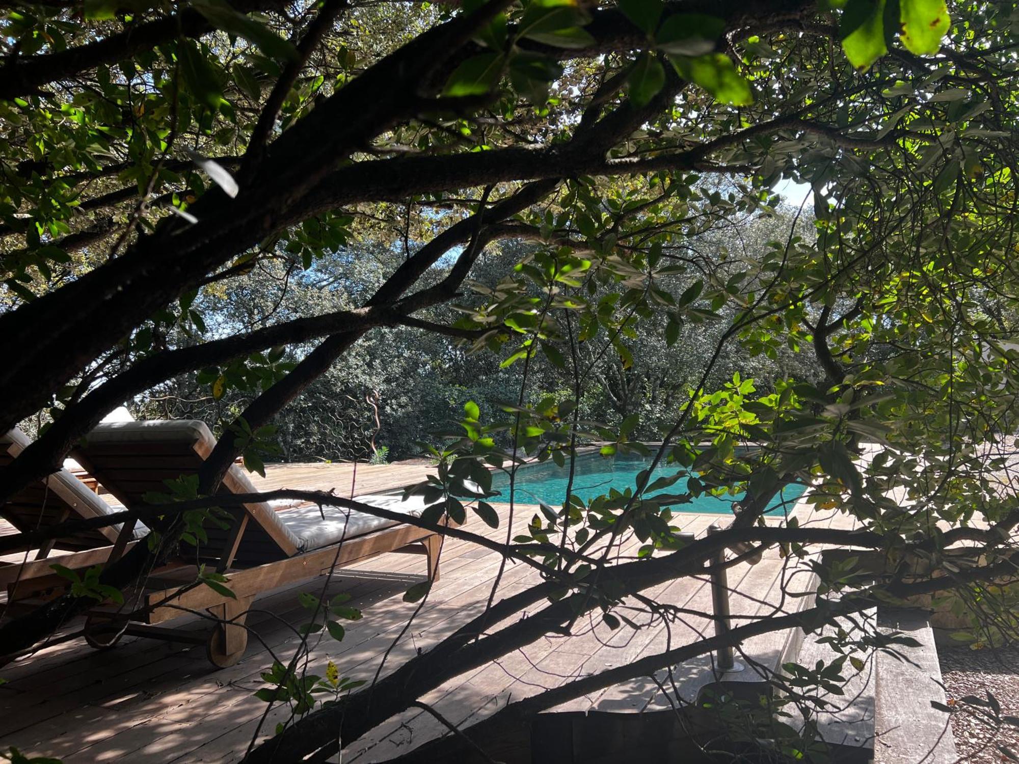 La Canopee Private Ecolodges Nîmes Eksteriør billede