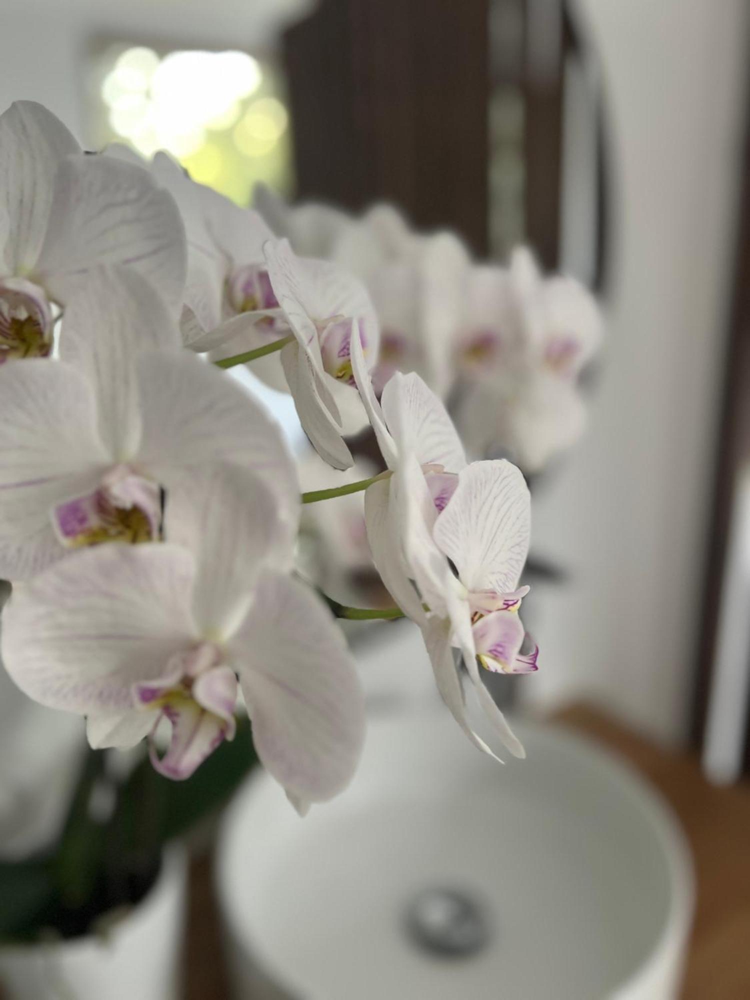 La Canopee Private Ecolodges Nîmes Eksteriør billede